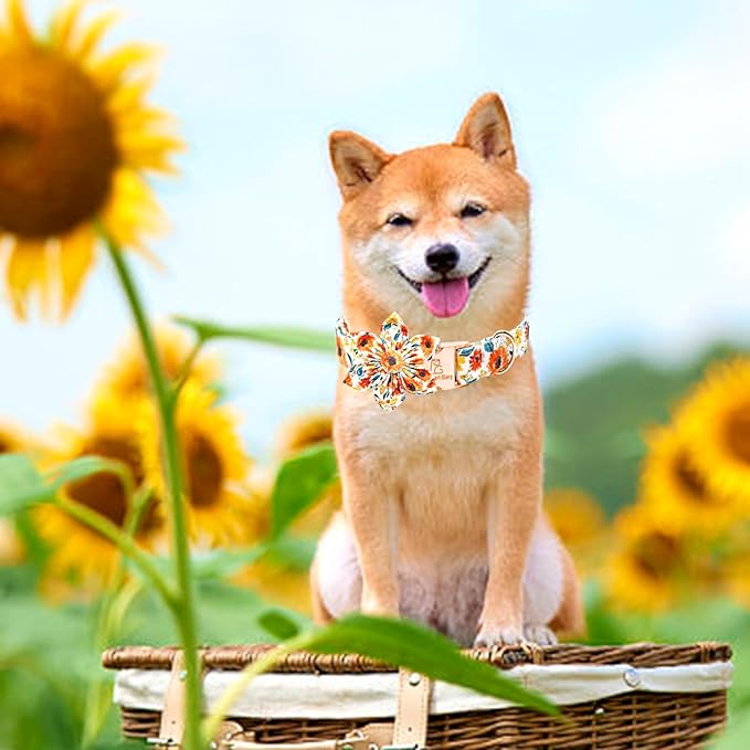 Lionheart Glory Floral Dog Collar with Flowers - Soft, Durable & Adjustable for Large Dogs