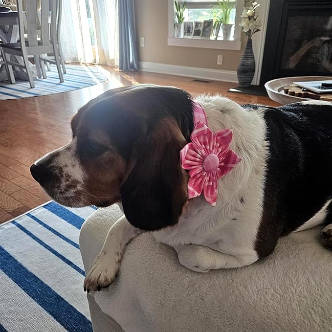 Lionheart Glory Dog Collar, Pink Dog Collar with Flower, Cute Floral Pattern Pet Collar Adjustable Pet Collar for X-Large Dogs