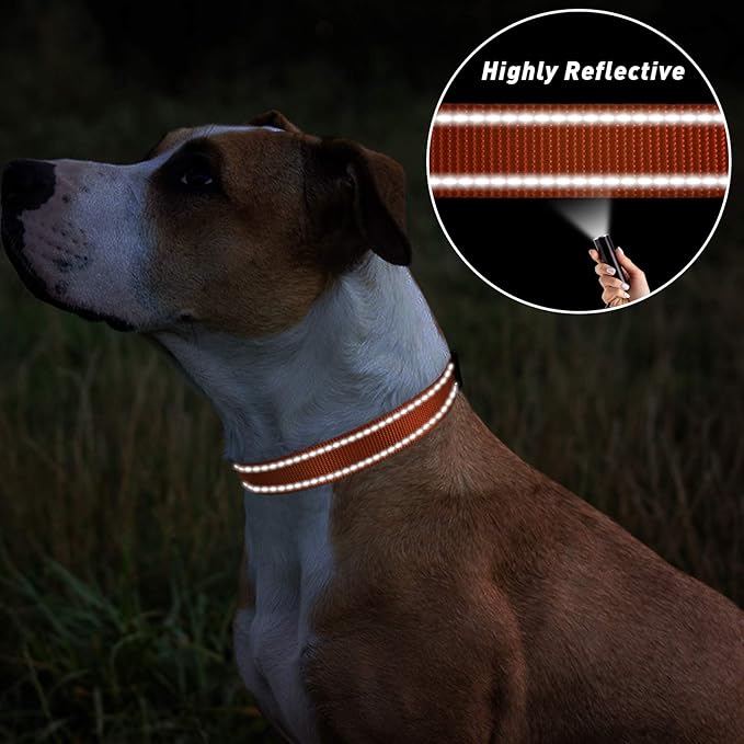 TagME Reflective Nylon Dog Collars, Adjustable Classic Pet Collar with Quick Release Buckle for Large Dogs, Orange, 1.0" Width