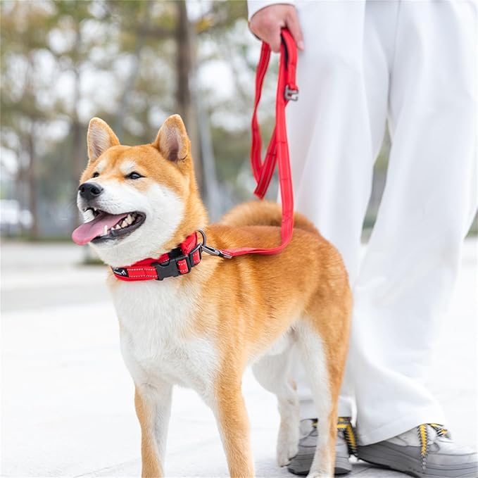 EXCELLENT ELITE SPANKER Reflective Dog Collar Classic Soft Padded Breathable Nylon Adjustable Pet Collar with Quick Release Buckle for Boy Girl Male Female Small Medium Large Dogs Training(Purple-S)