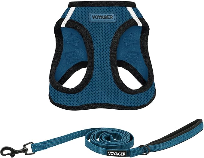 Best Pet Supplies Voyager Step-in Air All Weather Mesh Harness and Reflective Dog 5 ft Leash Combo with Neoprene Handle, for Small, Medium and Large Breed Puppies - Blue/Black Trim, X-Small