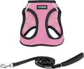 Best Pet Supplies Voyager Step-in Air All Weather Mesh Harness and Reflective Dog 5 ft Leash Combo with Neoprene Handle, for Small, Medium and Large Breed Puppies - Pink Base, XS