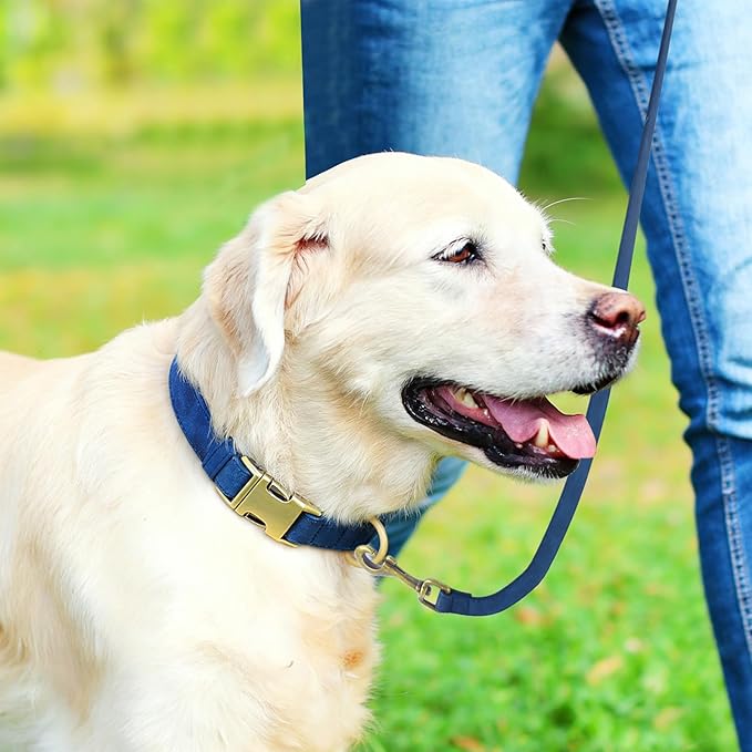 Genuine Leather Dog Collar - Adjustable Pet Collar with Quick Release Metal Buckle, Soft Skin Friendly Real Leather Collar for Small, Medium, Large Dogs (Blue, L：Fit 15-23" Neck)