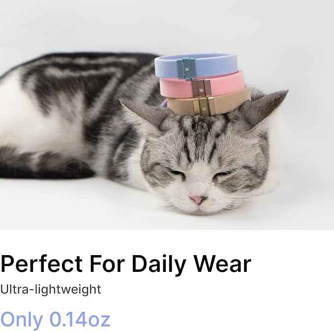 Safety Cat Collar - U.S. IDA Gold Award Design, Stretchy Elastic Quick Release Non Breakaway Cat Collar Light Weight for Kitten All Small Medium Large Cats (Olive, S (5.9-11.8 inch))