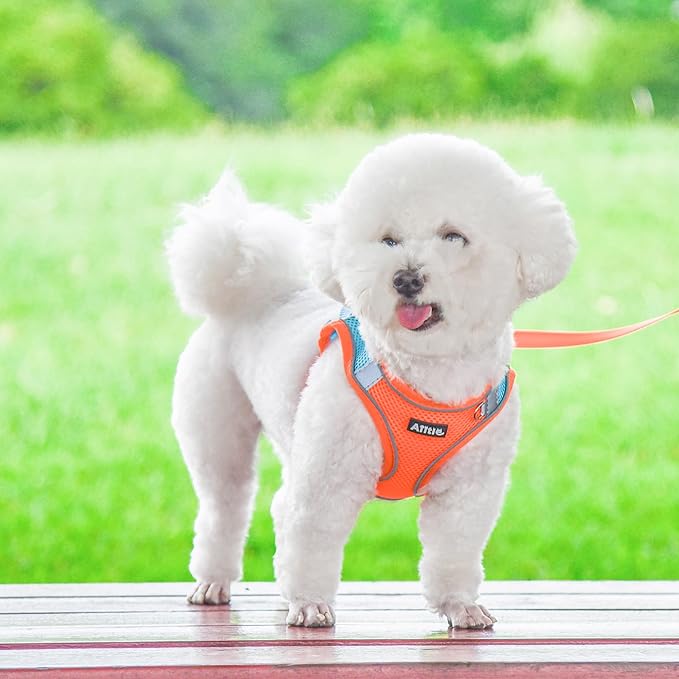 AIITLE No Pull Dog Harness and Leash Set, Step in Adjustable Dog Harness with Padded Vest for All Weather, Dog Leash with Soft Padded Handle, Easy to Put on Small and Medium Dogs Orange S