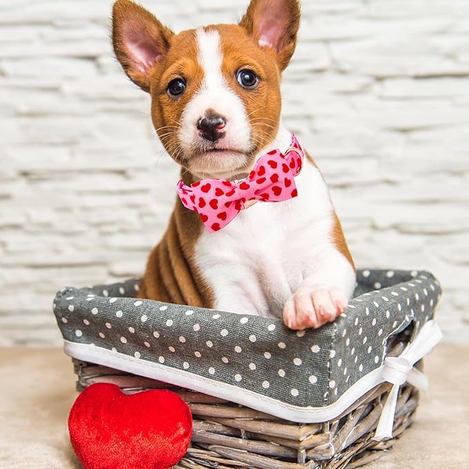 Lionheart glory Dog Bow Collar Valentine's Day Dog Collar for Small Dogs, Hearts Dog Collars with Bowtie Spring Dog Collar Pet Collar Bows