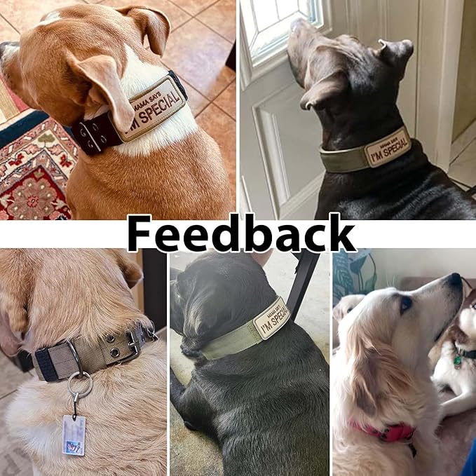 Tactical Dog Collar Military Adjustable Dog Collars Soft Nylon Training Collar with Patch Heavy Duty Metal Buckle Collars for Medium Large Dogs (Violet, M)