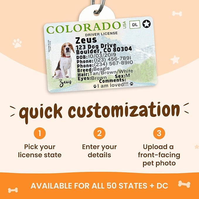 PawFurEver Personalized Dog Driver License ID Tag for Dogs & Cats - Custom Pet License Dog ID Tags Personalized Heavy Duty with Name, Photo & Phone Number, 50 States + DC (California, Tag)