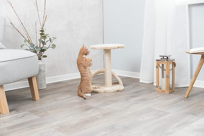 TRIXIE Vitoria 16.9-in Cat Tree for Kittens, Kitty Scratching Post, Sisal Covered Scratcher, Dangling Cat Toy, Beige