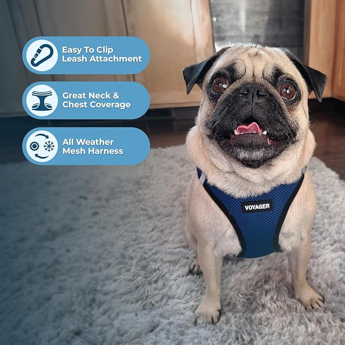 Best Pet Supplies - All Weather Mesh / Plush, Reflective, No Pull Harness for Small, Medium Dogs, Cats - Secure with Hook & Loop Fastener, Buckle, Double D-Rings - Blue/Black Trim, XL