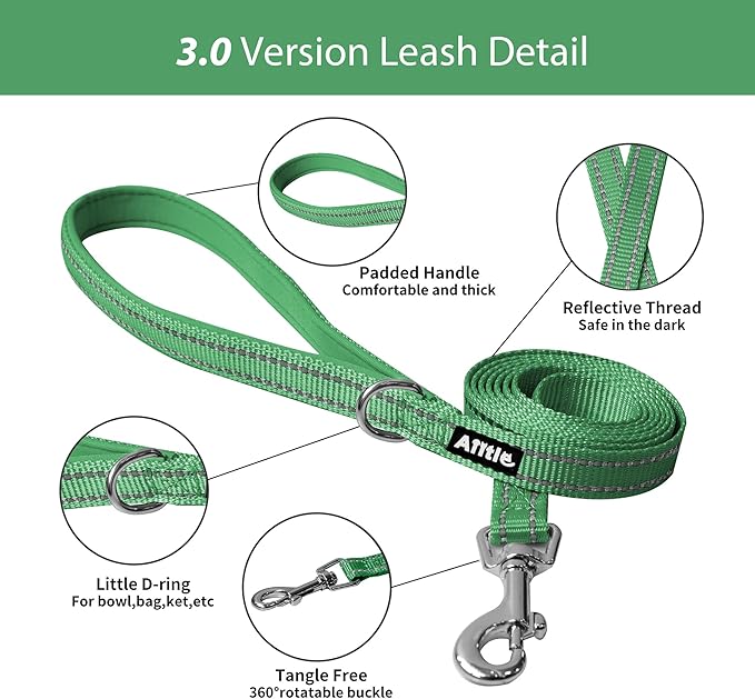 AIITLE No Pull Dog Harness and Leash Set, Step in Adjustable Dog Harness with Padded Vest for All Weather, Dog Leash with Soft Padded Handle, Easy to Put on Small and Medium Dogs Green S