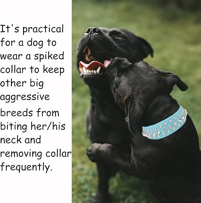 TEEMERRYCA Adjustable PU Leather Spiked Studded Dog Collars with a Squeak Ball Gift for Small Medium Large Pets Like Cats/Pit Bull/Bulldog/Pugs/Husky, Blue, XL 17.7"-20.5"