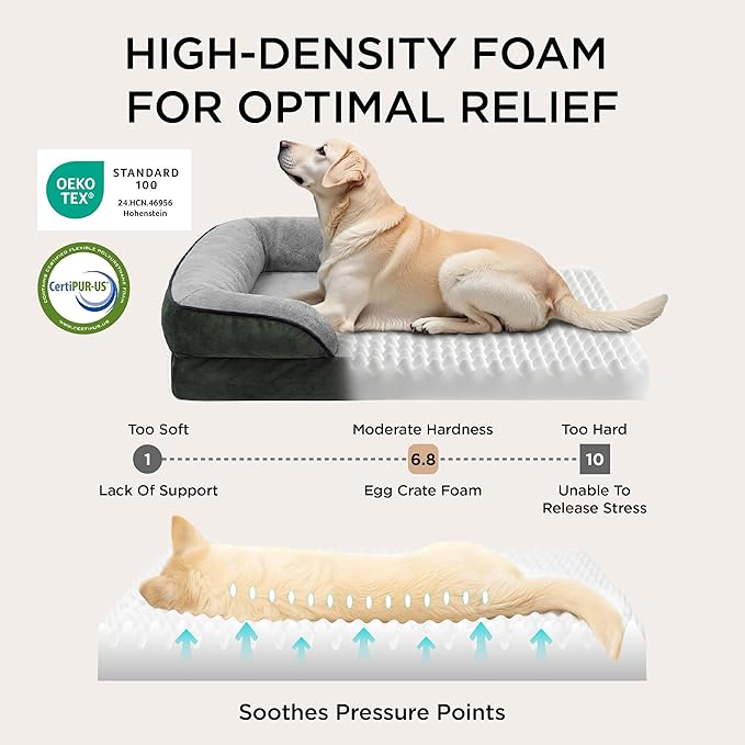 Bedsure Orthopedic Dog Beds for Small Dogs - Washable Small Dog Cat Bed Waterproof, Comfort Pet Couch Sofa with Washable Removable Cover, Pets Bed with Nonskid Bottom, Boreal Canopy Green, 24"