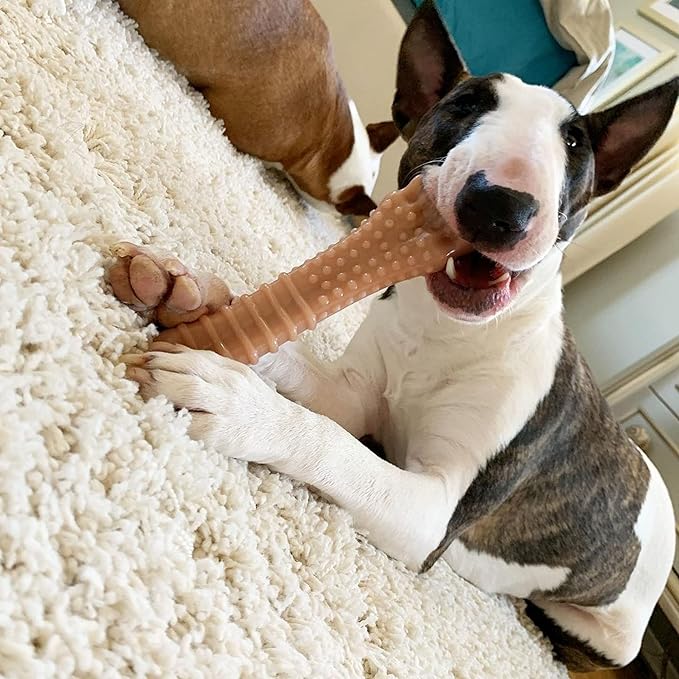 Nylabone Textured Knuckle Bone Power Chew Toy for Dogs, Durable & Tough Dog Toys for Aggressive Chewers, Original & Bacon Flavor, X-Large - 50+ lbs, 2 Pack