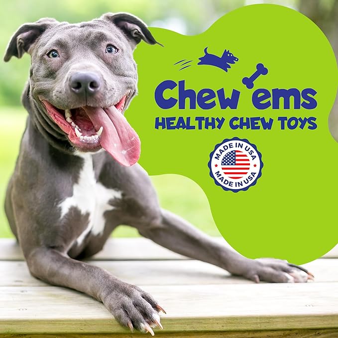 Chew’EMS X Bone Dog Chew Toy for Aggressive Chewers – Long-Lasting Bacon Flavor Nylon Bone – Durable, Rawhide-Free Dental Chew for Large Dogs – Made in USA