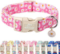 Summer Daisy Dog Collar, Cute Floral Adjustable Pink Dog Collars for Puppy Small Dogs, Lightweight Quick-Release Buckle Collar for Boy&Girl Dogs XS