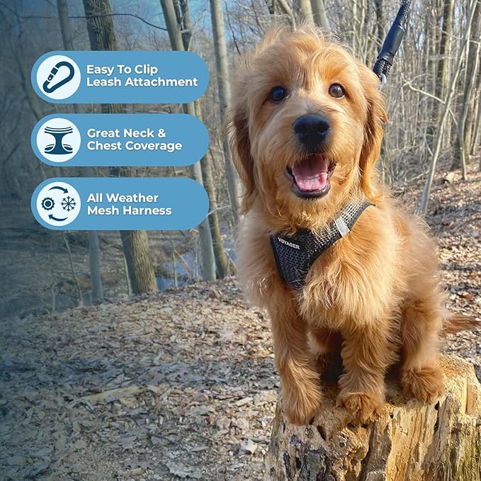Best Pet Supplies - All Weather Mesh/Plush, Reflective, No Pull Harness for Small, Medium Dogs, Cats - Secure with Hook & Loop Fastener, Buckle, Double D-Rings - Gray 2-Tone, XS