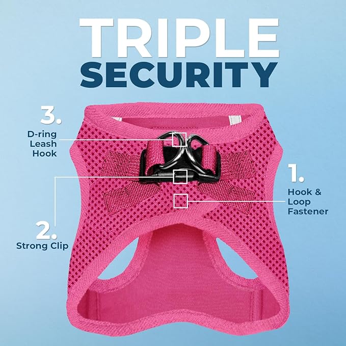 Best Pet Supplies Voyager Step-in Air All Weather Mesh Harness and Reflective Dog 5 ft Leash Combo with Neoprene Handle, for Small, Medium and Large Breed Puppies - Set (Fuchsia), M