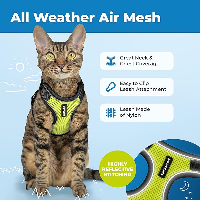 Voyager Escape-Proof Step-in Lock Cat Harness & 5ft Neoprene-Handle Leash Set All-Weather Mesh with Reflective Stitching for Small to Large Cats by Best Pet Supplies, Black Trim-Lime (327), XXXS