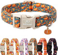 Fall Dog Collar Cute Autumn Pumpkin Puppy Collar - Light Comfortable Adjustable Pet Collars for Small Medium Large Girl Boy Dogs XL