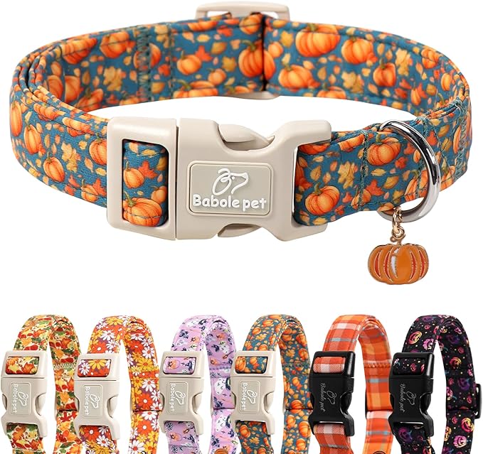 Fall Dog Collar Cute Autumn Pumpkin Puppy Collar - Light Comfortable Adjustable Pet Collars for Small Medium Large Girl Boy Dogs XS