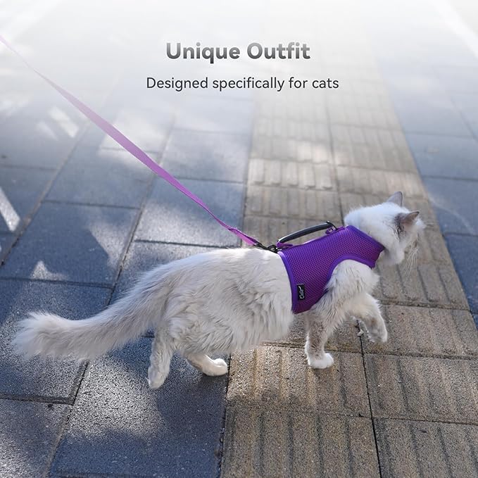 Kitty Harness and Leash for Walking Escape Proof Breathable Mesh Fabric, Purple, X-Small, Adjustable Cat Walking Jackets with Handle, Padded Stylish Cat Vest