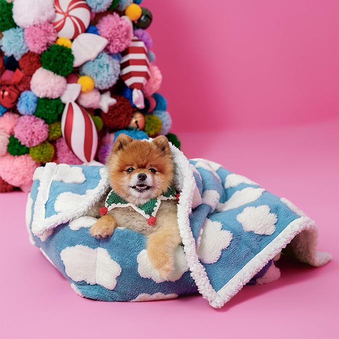 LE SURE Waterproof Puppy Blanket for Small Dogs - Washable Double Sided Dog Blankets with Warm Jacquard Shag and Soft Sherpa Fleece, Pet Cat Blanket for Couch Protection, 3D Textured Cloud, Blue