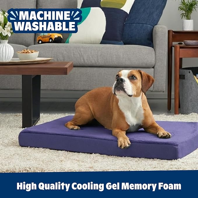 Barkbox Orthopedic Dog Bed with Memory Foam, Premium Comfort for Dogs and Puppies, Dog Bed for Joint Relief and Restful Sleep, Durable and Easy to Clean - Navy, Medium
