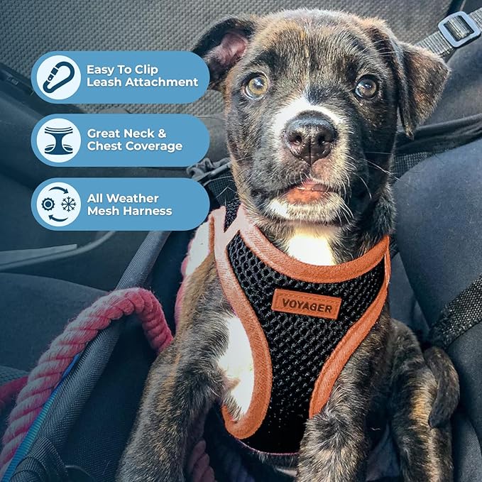 Best Pet Supplies - All Weather Mesh/Plush, Reflective, No Pull Harness for Small, Medium Dogs, Cats - Secure with Hook & Loop Fastener, Buckle, Double D-Rings - Black/Orange Trim, XS