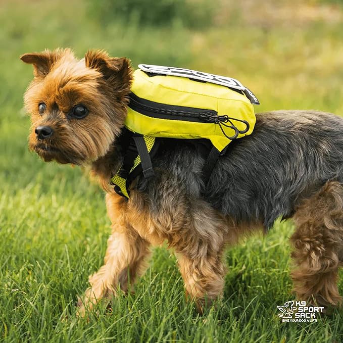 K9 Sport Sack Walk-On - X-Small, Sunset Orange - Ideal for Dogs with 9-12” Back Length - Lightweight, Packable, Backpack-Style Carrier - Includes Compatible Harness & Storage Bag