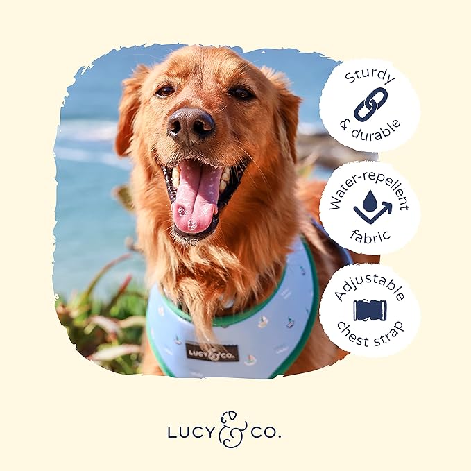 Lucy & Co. Set Sail Reversible Harness, Walking Halter - Best Designer Pet Harnesses for Small Dogs - Padded Adjustable Vest for Easy Walking, Small, Blue & White Stripes & Sailboats