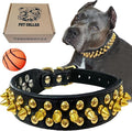 TEEMERRYCA Black Leather Dog Collar with Gold Spikes for Boy Small Medium Large Pets,Pit Bulls/Bulldog, Keep Dog Safe from Grabbing by Huge Dogs,XS(8.3"-10.6")