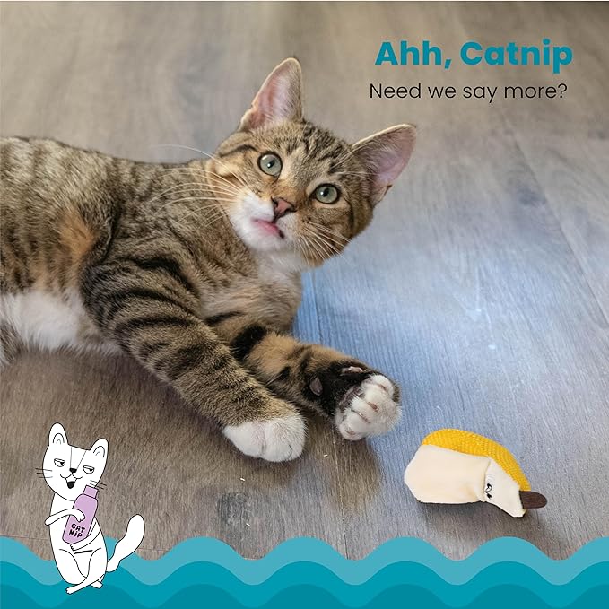 Catstages Petstages Dental Banana Catnip Cat Chew Toy