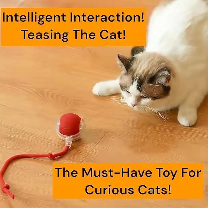 Interactive Electric Automatic Rolling Moving Rechargeable Self Play Stimulation Toy,Smart Pet Chase with Speedy Tail Rope for Bored Indoor Cats (Grey)