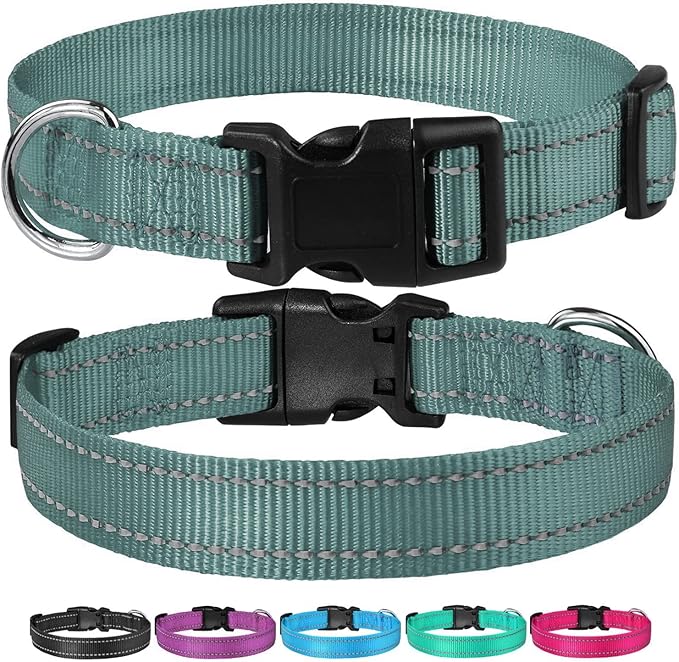 Reflective Dog Collar with Buckle Adjustable Safety Nylon Collars for Small Medium Large Dogs, Grey M