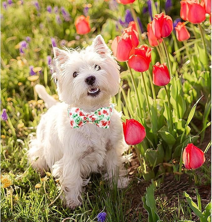 Lionheart glory Dog Collar Bow Collar Floral Dog Collar with Bow Tie Spring Summer Cute Collar Dog Boy or Girl Dog Collars Soft Durable Adjustable Dog Collars for Small Dogs