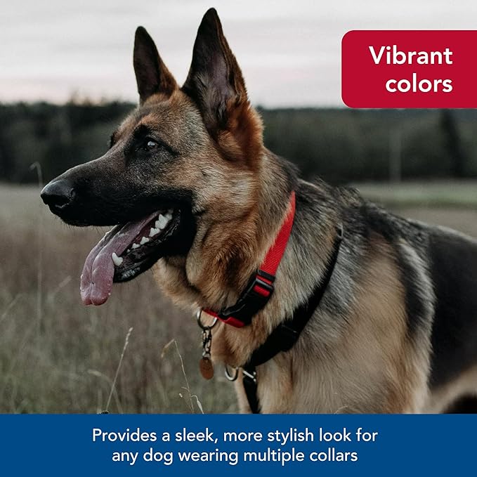 Coastal Pet SecureAway Collar Protector for Flea Collars - Adjustable pet Accessory - Protective Flea Collar for Dogs & Puppy - Red, 5/8" x 8-12"