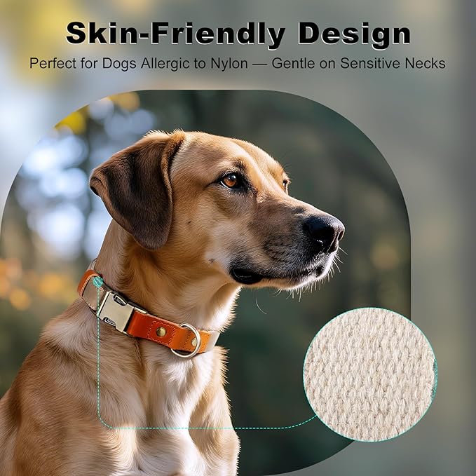 Plutus Pet Genuine Leather & Hemp Dog Collar – Adjustable Heavy Duty Pet Collar with Quick Release Metal Buckle, Soft & Stylish for Puppy and Small, Medium, Large Dogs (Ash Brown, M)
