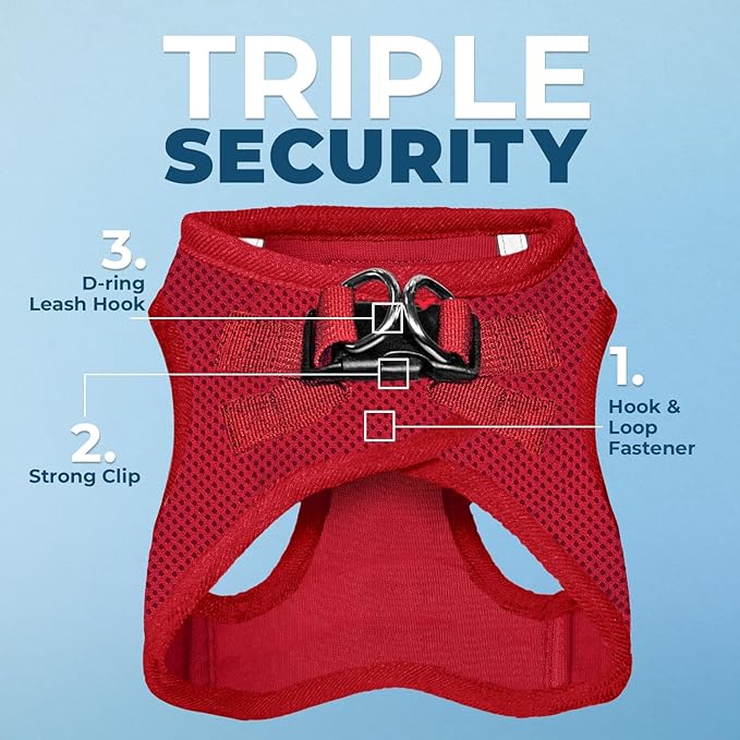Best Pet Supplies Voyager Step-in Air All Weather Mesh Harness and Reflective Dog 5 ft Leash Combo with Neoprene Handle, for Small, Medium and Large Breed Puppies - Harness Leash Set (Red), XXS