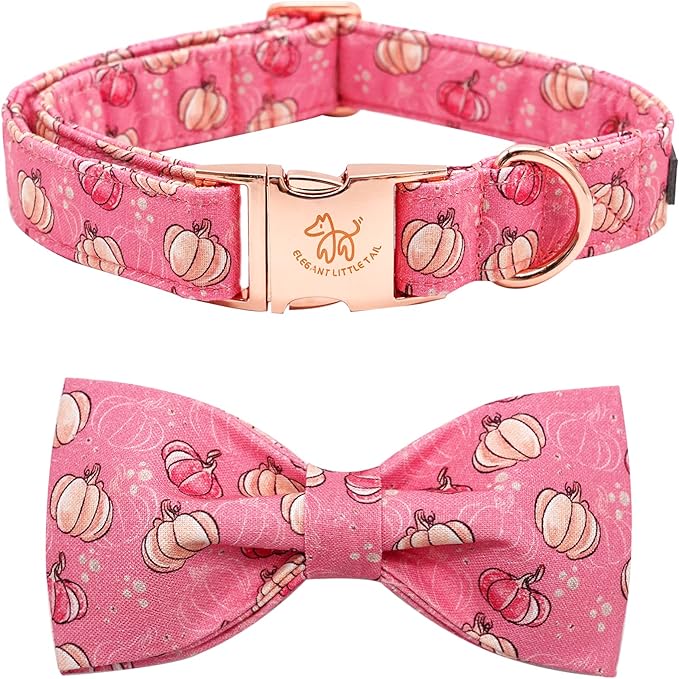 Elegant Little Tail Dog Collar with Bow, Adjustable Halloween Pumpkin Bowtie Pet Gift Collar for Small to Large Dogs