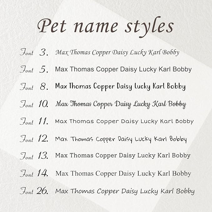 Anavia Slide On Silent Pet ID Tags, S/M/L/XL Personalized Black Stainless Steel Colored Silicone Cat Dog Name Tag, Customized Engraved Nameplate, Quiet Chew-Proof Pet Collar Tag (Black, Large)