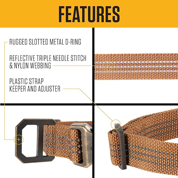 Carhartt Fully Adjustable Nylon Webbing Collars for Dogs, Reflective Stitching for Visibility, Hunter Orange (Nylon Webbing), Medium