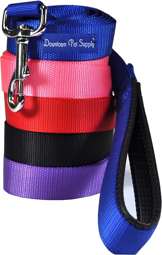 Downtown Pet Supply 4ft Heavy-Duty Dog Leash - Padded Comfort Handle & Stainless Steel Fastener - 0.75 in Wide - Purple