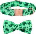 Lionheart glory Clover Dog Collar, Adjustable Dog Collar with Bowtie, Pet Gift Collar for Dog Soft Bowtie Dog Collars for Medium Dogs