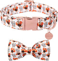 Thanksgiving Dog Collar with Bow Tie, Turkey Cotton Bowtie Collar for Puppy Girl Dog or Cat, Autumn Bow Tie Collar with Durable Metal Buckle, Turkeys Pet Collar, XS, Neck 8-12in