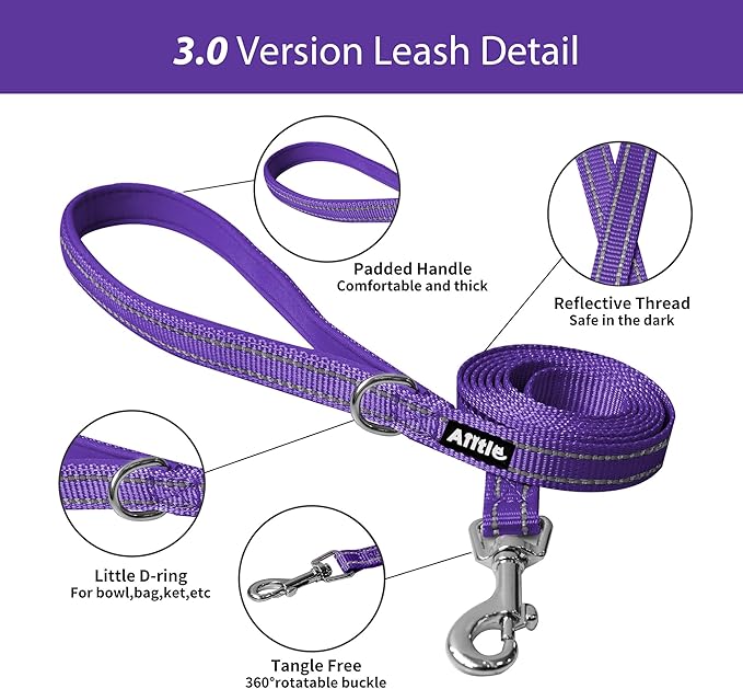 AIITLE Step in Dog Harness and Leash Set - No Pull Escape Proof Vest Harnesses with Soft Mesh and Reflective Bands, Adjustable Pet Outdoor Harnesses for Small and Medium Dogs Pure Purple M
