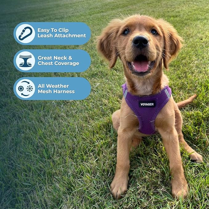 Best Pet Supplies Voyager Step-in Air All Weather Mesh Harness and Reflective Dog 5 ft Leash Combo with Neoprene Handle, for Small, Medium and Large Breed Puppies - Set (Purple), S