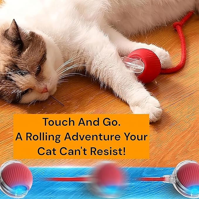 Interactive Electric Automatic Rolling Moving Rechargeable Self Play Stimulation Toy,Smart Pet Chase with Speedy Tail Rope for Bored Indoor Cats (Green)