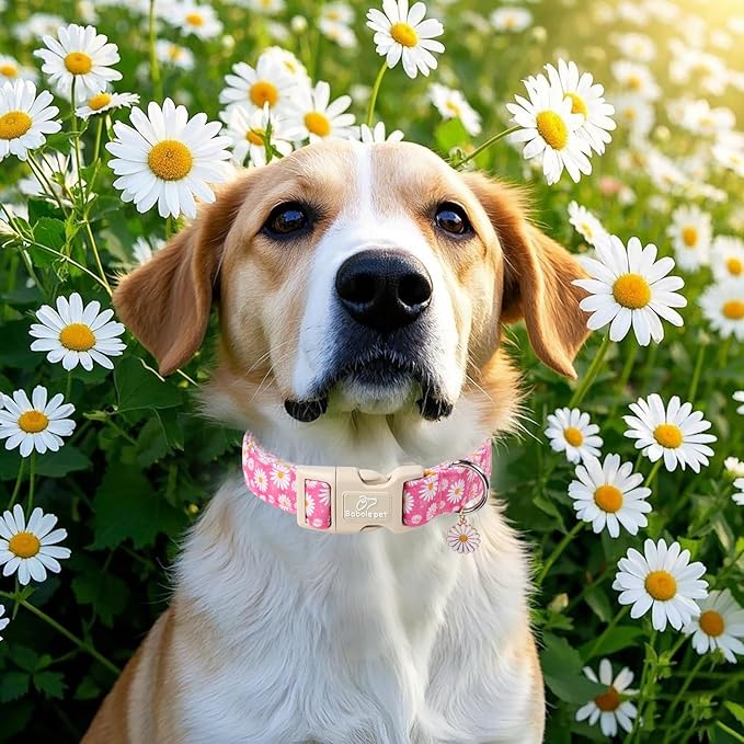 Summer Daisy Dog Collar, Cute Floral Adjustable Pink Dog Collars for Large Dogs, Lightweight Quick-Release Buckle Collar for Boy&Girl Dogs L