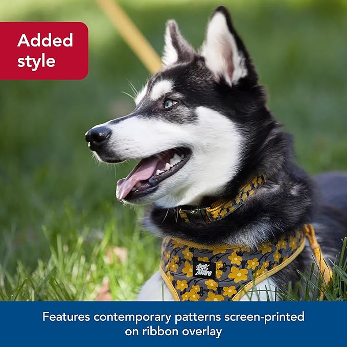 Coastal Pet - Ribbon - Adjustable Dog Collar with Metal Buckle, Brown Paws and Bones, 1" x 18"-26"